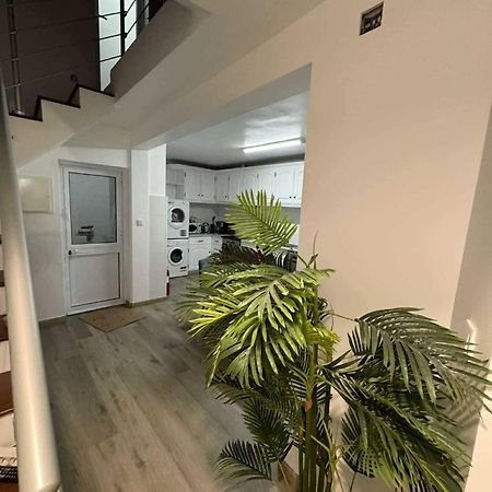 Alvarenga House Maia  Εξωτερικό φωτογραφία